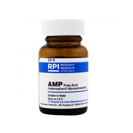 Rpi AMP, 10 G A11240-10.0